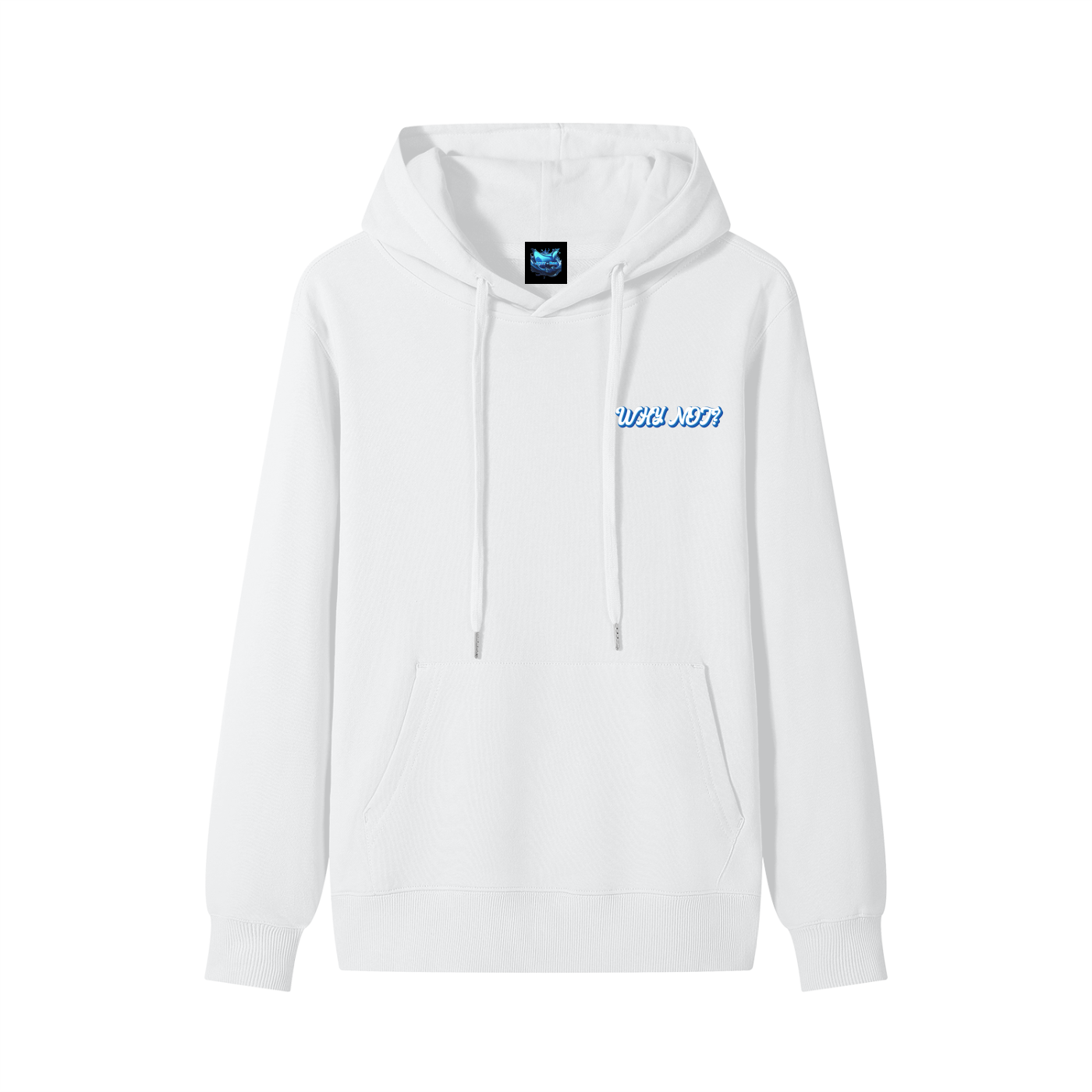 Why Not... Hoodie