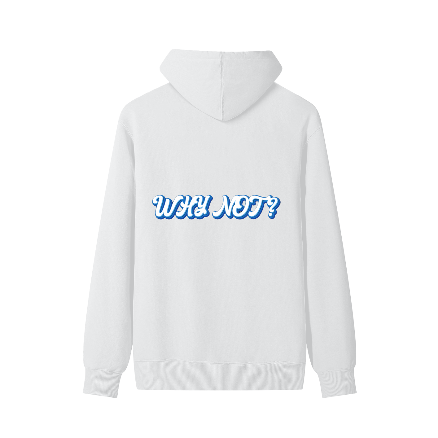 Why Not... Hoodie