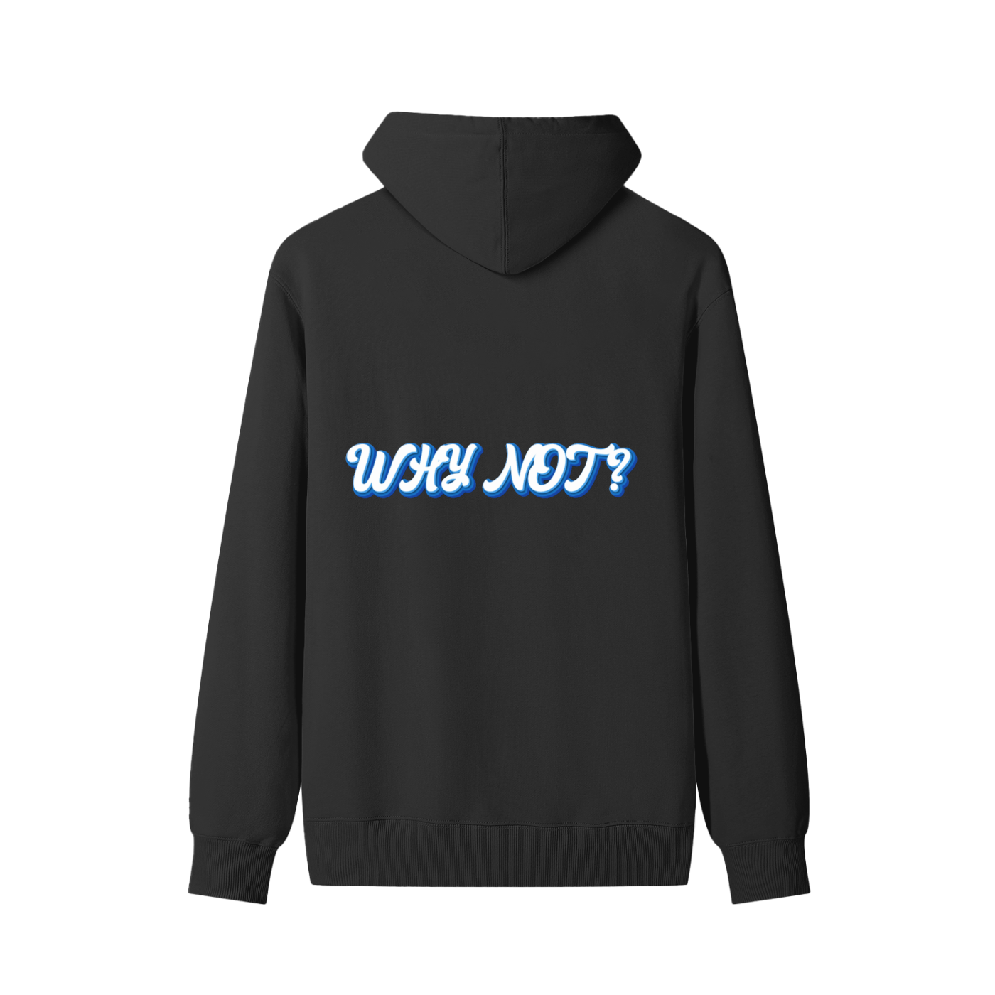 Why Not... Hoodie